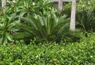 Pacific Haventropical-landscaping-4.jpg; ?>