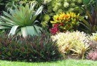 Pacific Haventropical-landscaping-9.jpg; ?>